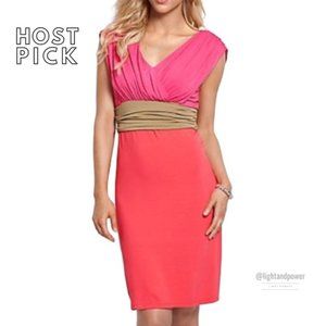 NWOT Tommy Bahama Tambour Pink Colorblock Dress
